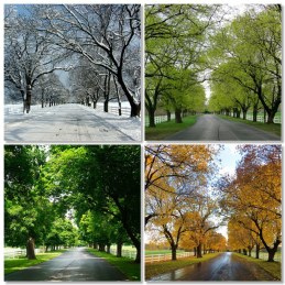 4-seasons